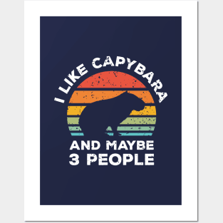 I Like Capybara and Maybe 3 People, Retro Vintage Sunset with Style Old Grainy Grunge Texture Posters and Art